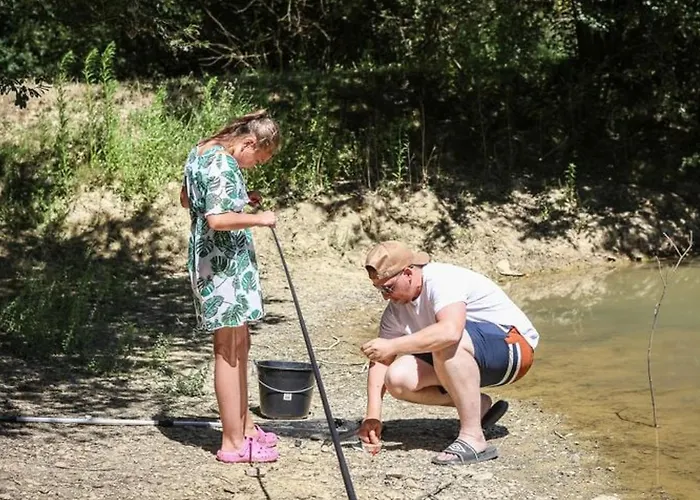 2 Avec Terrasse Aux Achards - Api-1-52-686 * Les Achards (Vendee)