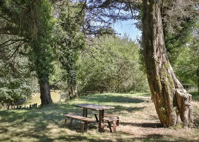 Parque de Campismo 2 Avec Terrasse Aux Achards - Api-1-52-686 *